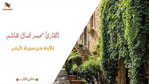 القارئ محمد كمال هاشم | تلاوة من سورة الزمر