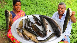 SNAKEHEAD MURREL FISH | Viral Meen Kulambu Cooking and Eating in Village | Farmer Cooking