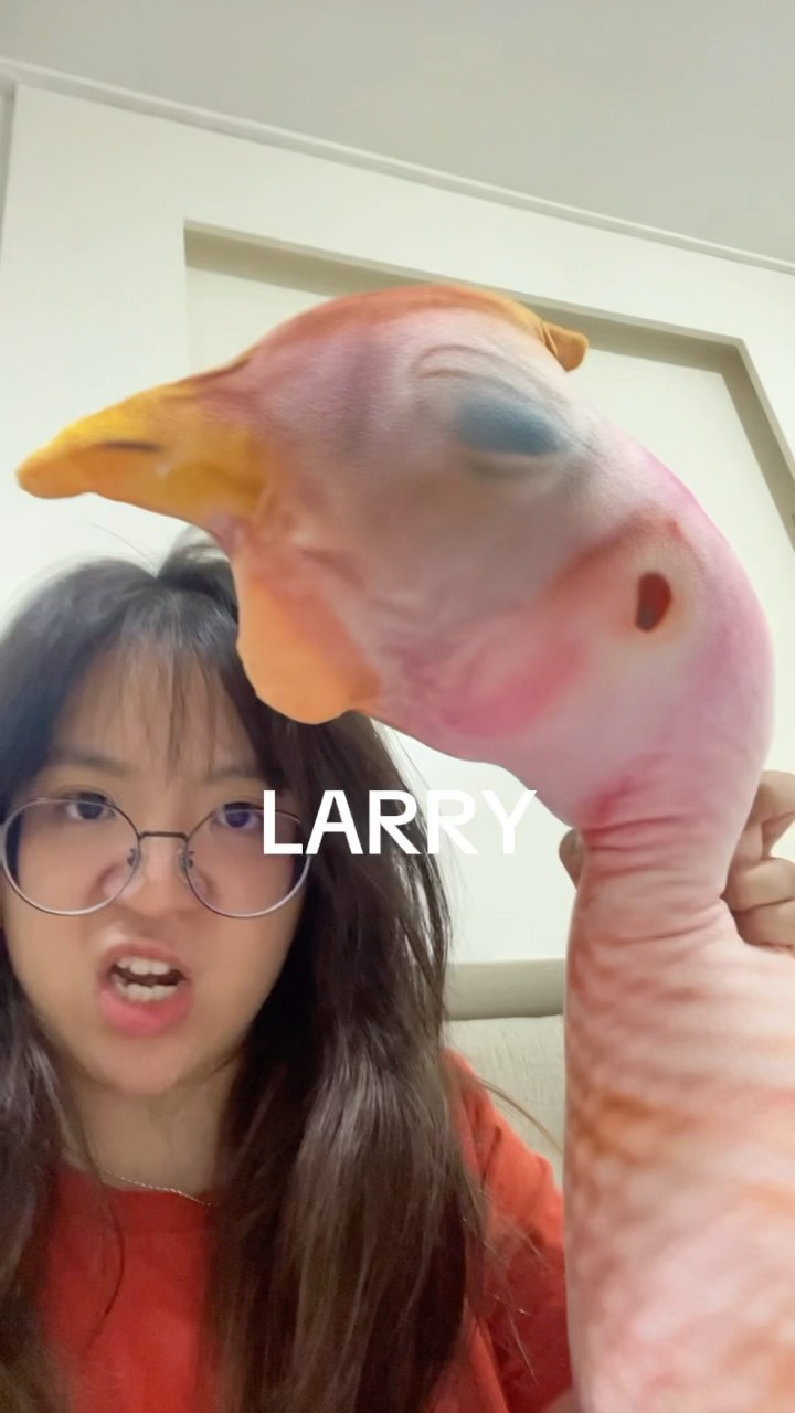 WKWKWK AWAS YA NTR DIKEJAR LARRY??? #shorts #itsmeissie