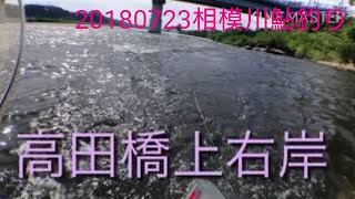20180723相模川高田橋ちびっこ鮎釣り祭り😁