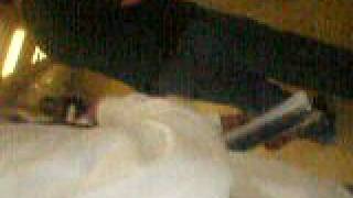 DSCF2996.AVI