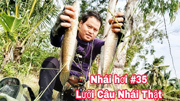 Lure Cá Lóc Bằng Nhái Hơi Phần 35.Lưỡi Câu Nhái Thật Trị Cá Nhát.Lưỡi Độ Câu Nhái Thật/Đại Ngáo Vlog
