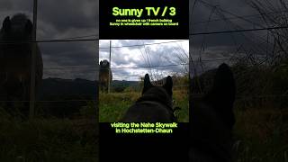Sunny Tv Visiting Nahe Skywalk - No One Is Given Up