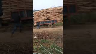 Máy Cày Kéo Móc Khủng