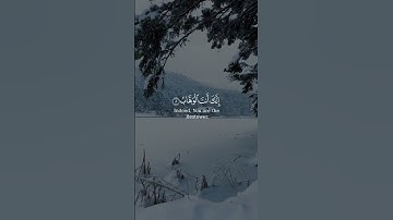 #القارئ_بدر_التركي#قران_كريم #quran 🎧❤😴
