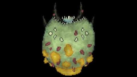 Scav Prototype - Run For Your Life (Elder Thornback)