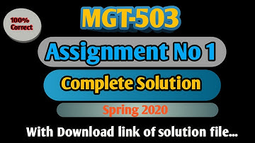 MGT503 Assignment No 1 Solution spring 2020 With download link || MGT503