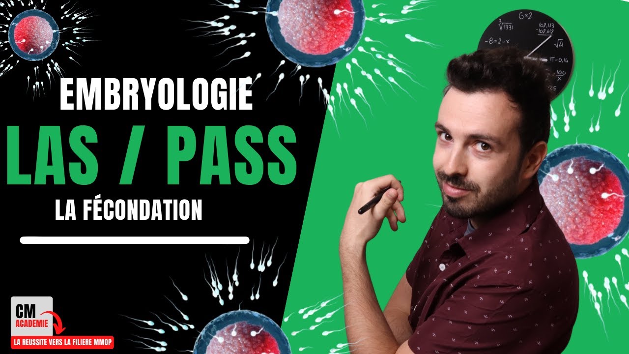 LA FECONDATION : 👶 L'incroyable histoire de la rencontre d'un ovocyte et d'un spermatozoïde !