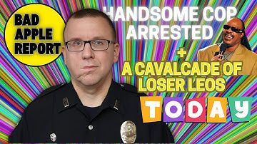 JAILERS BE CRAZY + PROCTOR SHOCKED HER + 3rd DOMESTIC VIOLENCE CASE FOR TYPICAL COP + BAR ROOM BRAWL