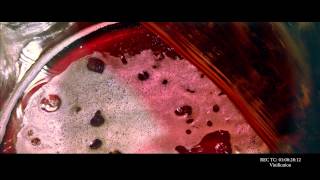 Οινοποίηση Off