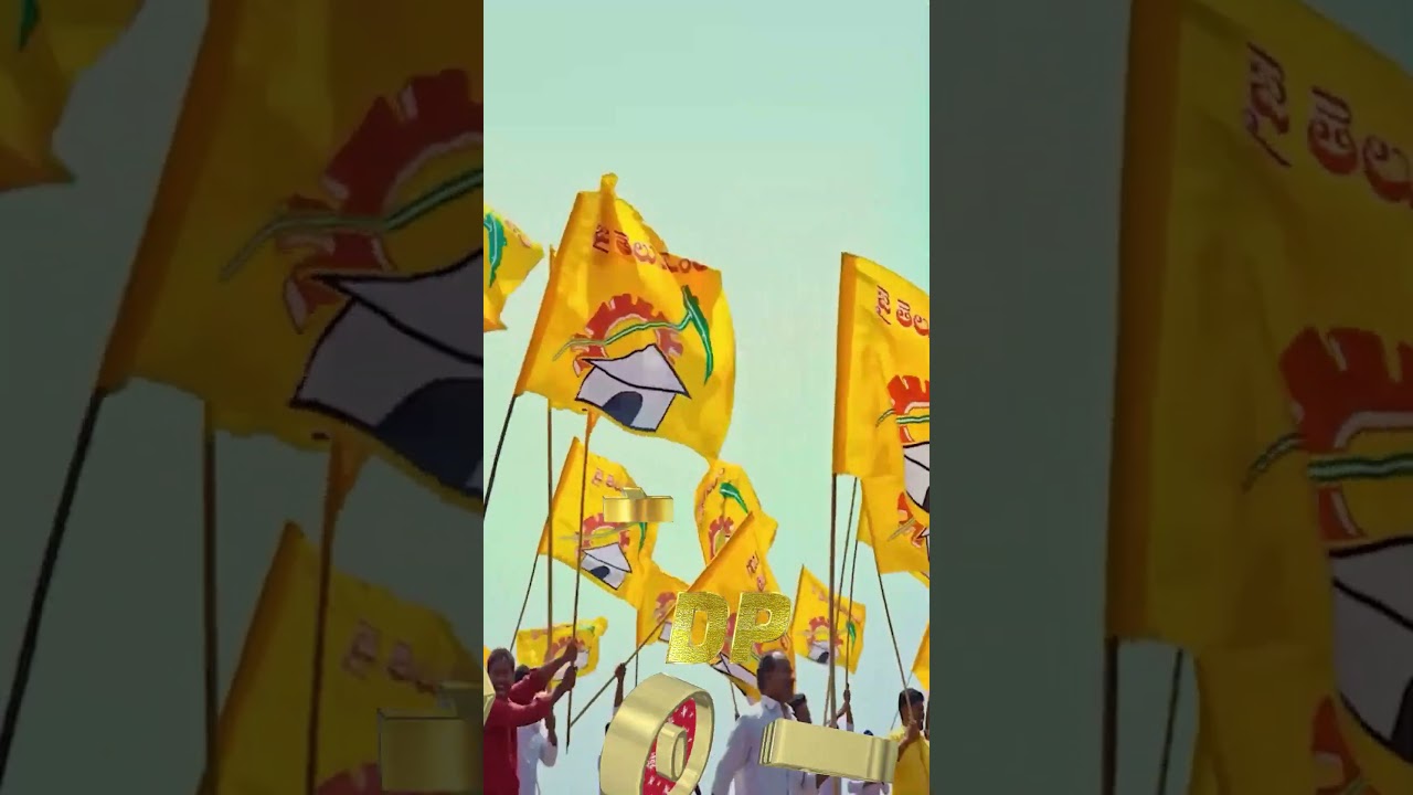 తెలుగుదేశం పార్టీ సంబరాలు / TDP Celebrations