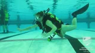 Try Dive 2015