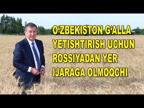 Video: Rossiyaning Iqtisodiy Xavfsizligini Qanday Ta'minlash Kerak