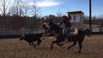 Learn To Rope Log Episode 9