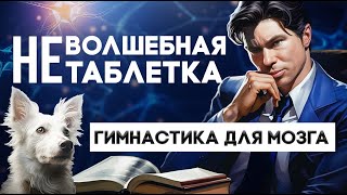 Освободить время. ускорив мышление! Как подружиться с внутренним зверем? | Neuromen Павел Палагин