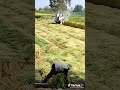 بتزعل أوى من كلمه فلاح كلمه فلاح هى أعلى مستوى النجاح 
