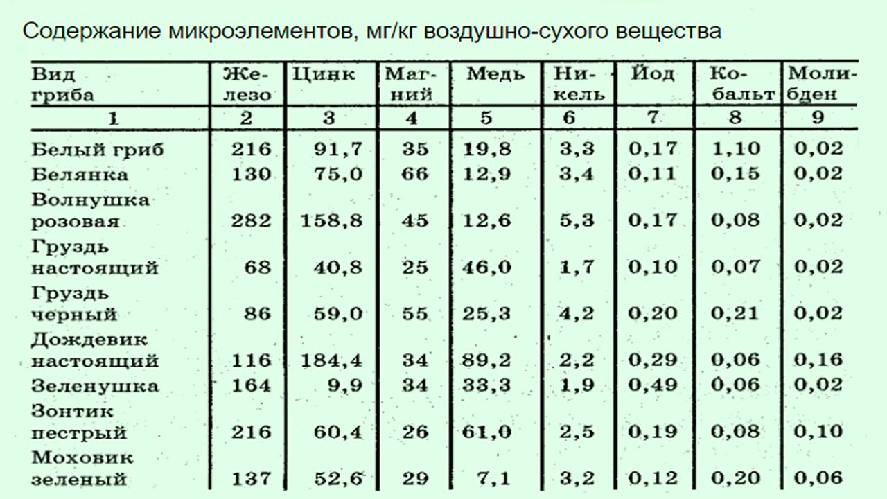 Грибы. Пищевая ценность грибов, химические свойства, состав (таблицы)