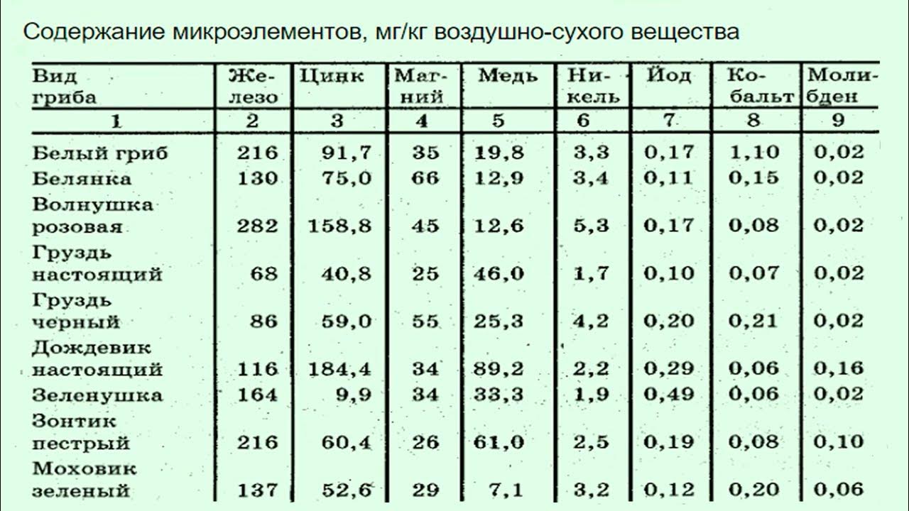 Состав гриба белок