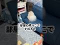 隅っこですねてるの⁇⁇