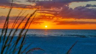 1512 Gulf Blvd video tour