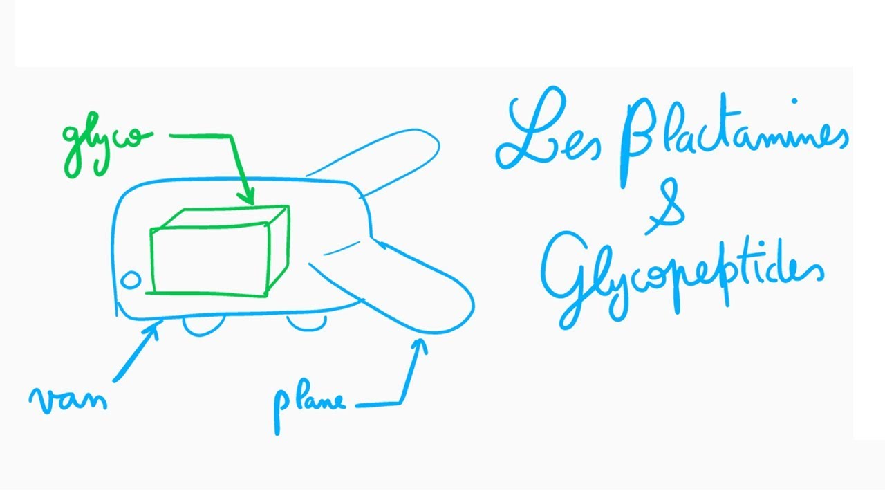 🔴 COMMENT APPRENDRE LES BETALACTAMINES EN 10 MIN  ! - DR ASTUCE