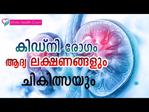 കിഡ്‌നി രോഗം ആദ്യ ലക്ഷണങ്ങളും ചികിത്സയും |  | Ethnic Health Court