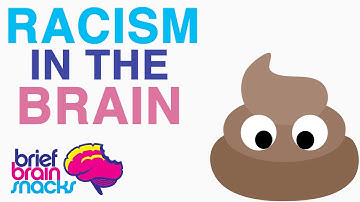 The Brain on Racism