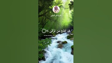 قَدْ أَفْلَحَ مَن تَزَكَّىٰ (14) وَذَكَرَ اسْمَ رَبِّهِ فَصَلَّىٰ (15) #ماهر_المعيقلي #سورة_الاعلى