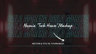 Hector & Tito vs. Yvvan Back - Baila Morena (Numia 'Tech House' Mashup) | Remix | Visualizer