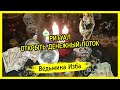 ОТКРЫТЬ ДЕНЕЖНЫЙ ПОТОК. ДЛЯ ВСЕХ. ВЕДЬМИНА ИЗБА ▶️ ИНГА ХОСРОЕВА