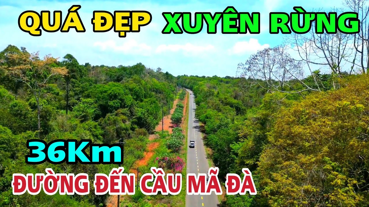 QUÁ ĐẸP ĐƯỜNG XUYÊN RỪNG ĐẾN CẦU MÃ ĐÀ KẾT NỐI GIỮA ĐỒNG NAI VÀ BÌNH PHƯỚC VỚI CHIỀU DÀI 36KM .