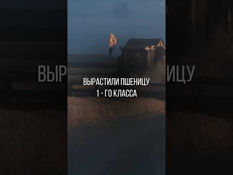 А не купить