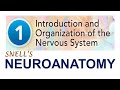Chp1 introduction  organization of nervous system  snells neuroanatomy  dr asif lectures