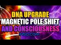 DNA upgrade, Magnetic Pole Shift and Consciousness