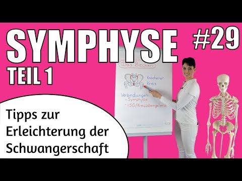 Video: Welche Gelenke sind Symphysen?
