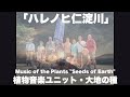 「ハレノヒ仁淀川」植物音楽ユニット・大地の種