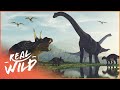 When Dinosaurs Ruled The World | Amazing Animals | Real Wild
