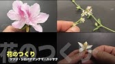 中学１年 理科 花のつくり エンドウ Youtube