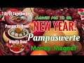 6 PAMPASWERTE SA NEW YEAR | MONEY MAGNET FOR NEW YEAR