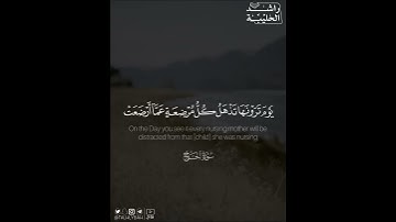 ﴿يا أيها الناس اتقوا ربكم إن زلزلة الساعة شيء عظيم﴾ | القارئ: راشد الحليبة