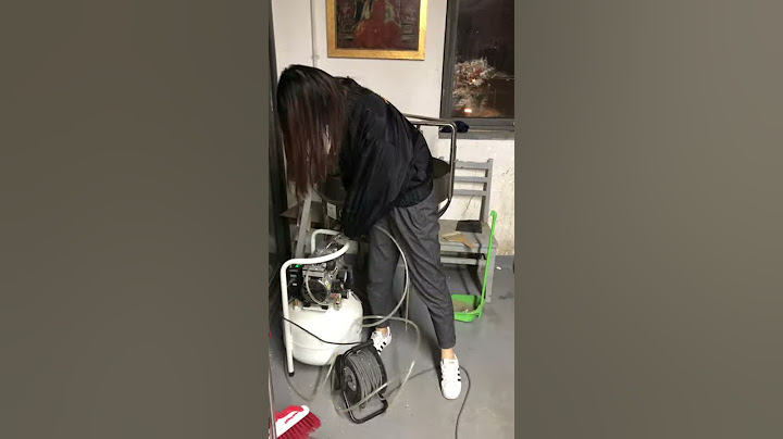 猫的吹风机