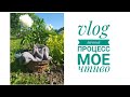 vlog. Интересный процесс. Покупка книг