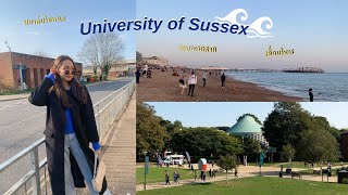 🌊มหาลัยเมืองทะเลอังกฤษ เด่นบริหาร, การตลาด 💼 l University of Sussex