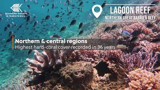 Continued coral recovery leads to 36-year highs across two-thirds of the Great Barrier Reef