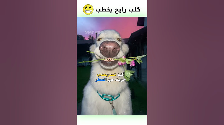 كلب رايح يخطب 😂 | #دبلجة_مضحكة #ضحك #اكسبلور #السعودية #my_kingo #كوميديا #funny #دوبلاج #كلب