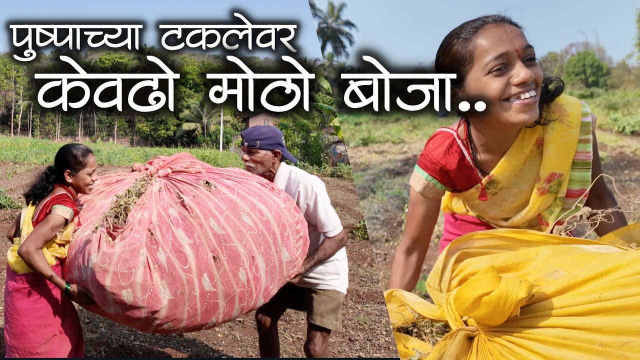 पुष्पाच्या टकलेवर केवढो मोठो बोजा नी लग्नाच्या वाढदिवसाक मज्जाचं मज्जा #कोकणी #मालवणी #शेतकरी #kokan