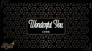 LVDS - Wonderful You
