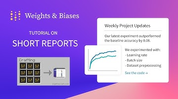 Track your machine learning insights with short reports on Weights and Biases