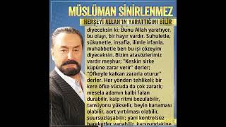 Müslüman Sinirlenmez, Her Şeyi Allahın Yarattığını Bilir Adnan Oktar Sohbet