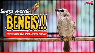 PANCINGAN TRUCUKAN GACOR ROPEL PANJANG‼️AMPUH UNTUK MASTERAN TRUCUKAN BAHAN & MACET  NYAUT GACOR